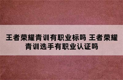 王者荣耀青训有职业标吗 王者荣耀青训选手有职业认证吗